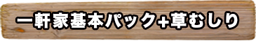 一軒家基本パック+庭むしり