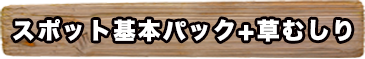 スポット管理パック+庭むしり